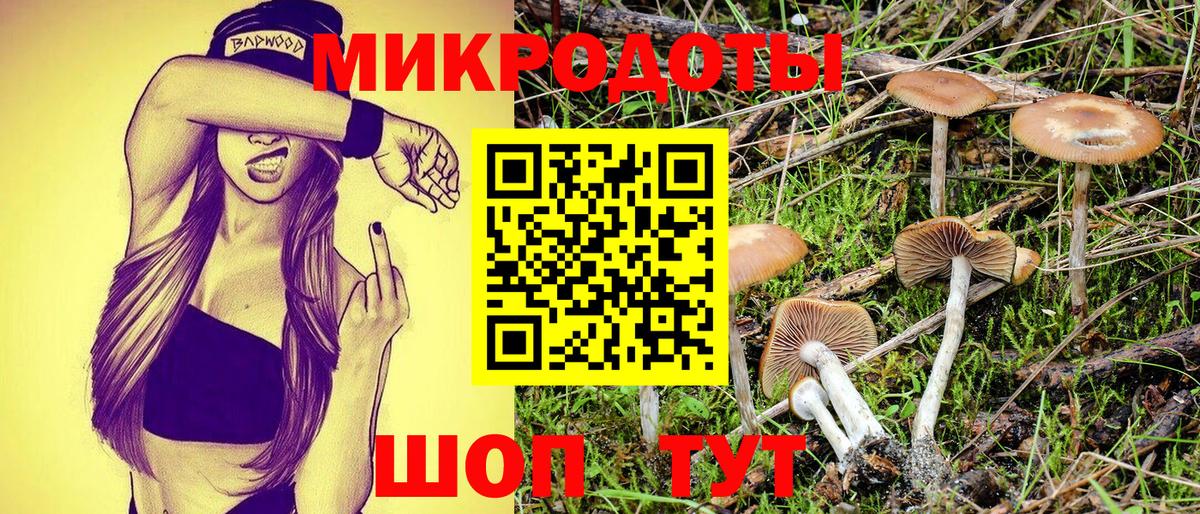 Псилоцибиновые грибы Psilocybine cubensis Среднеуральск