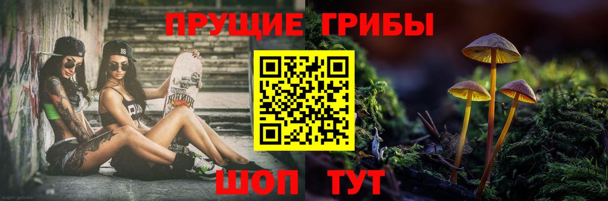 Галлюциногенные грибы Cubensis  Псилоцибиновые грибы мицелий  Среднеуральск  Вход с VPN 